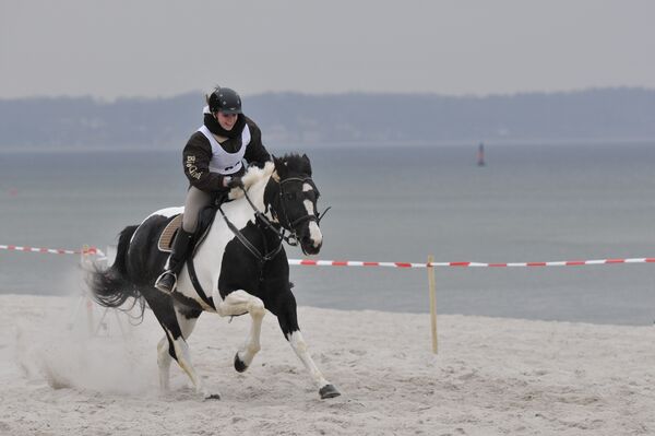 Großes Strandderby-Wochenende in Timmendorfer Strand Reitsport, Show und Familienprogramm direkt am Strand an der Maritim Seebrücke