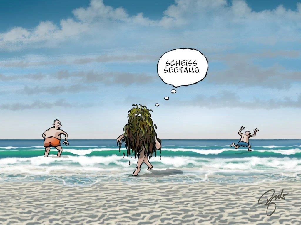 Ein Cartoon vom Strand. Ein Mensch kommt mit Seetang bedeckt aus dem Wasser und sagt: Scheiß Tag." Ein Mann läft weg und ein anderer guckt erschrocken dem Seetangmenschen hinterher.