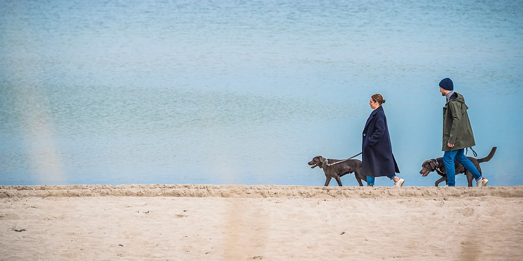 Pärchen mit zwei Hunden geht am Strand