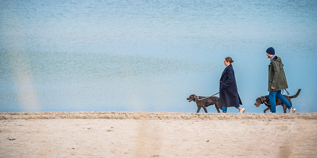 Pärchen mit zwei Hunden geht am Strand