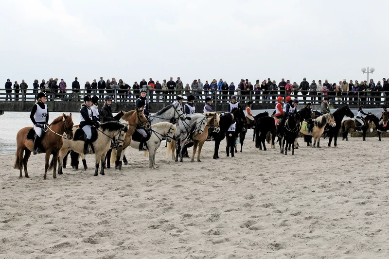 Über 15 Reiter und ihre Pferde am Strand, auf der Seebrücke viele Zuschauer