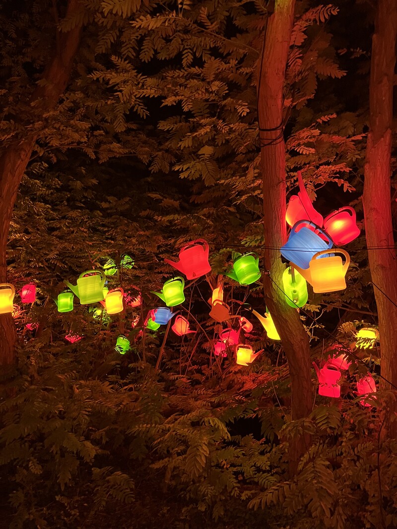 In den Bäumen hängen Bunte beleuchtete Gieskannen