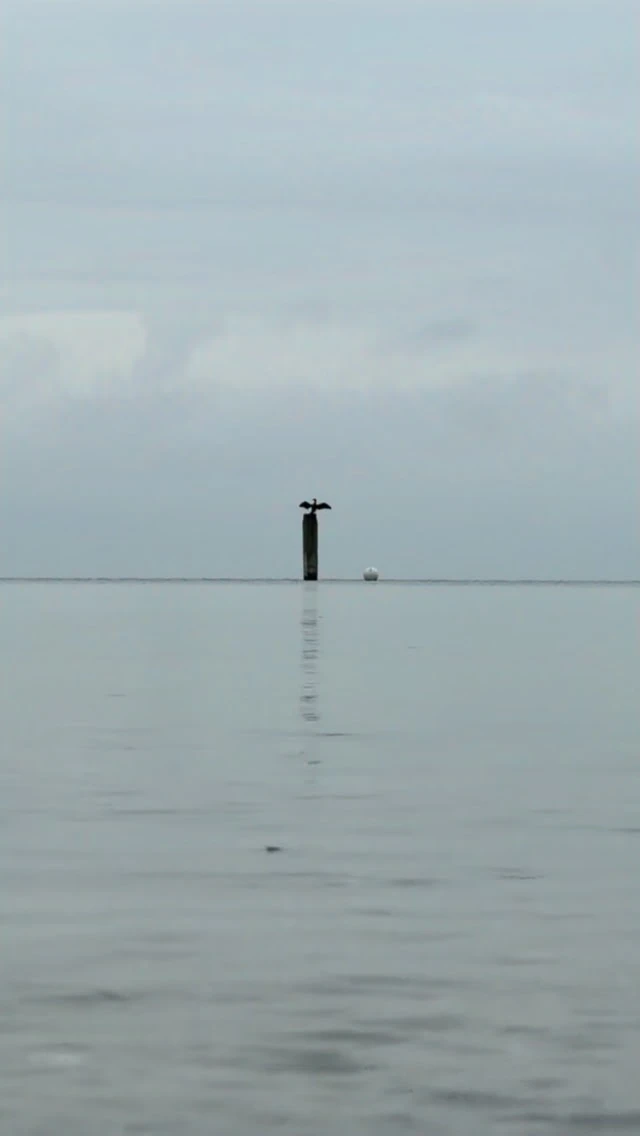 375483917890_1408419138101440