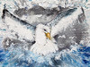 Online-Voting: Gewinner 9-12 Jährige ©Ian Kothanikkel