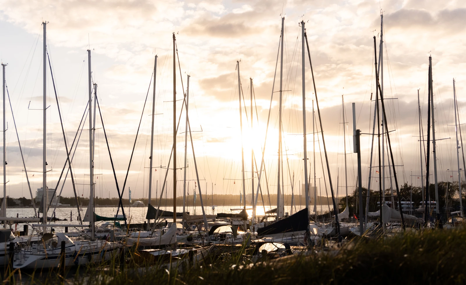 Zur goldenen Stunde liegen die Yachten im Niendorfer Hafen
