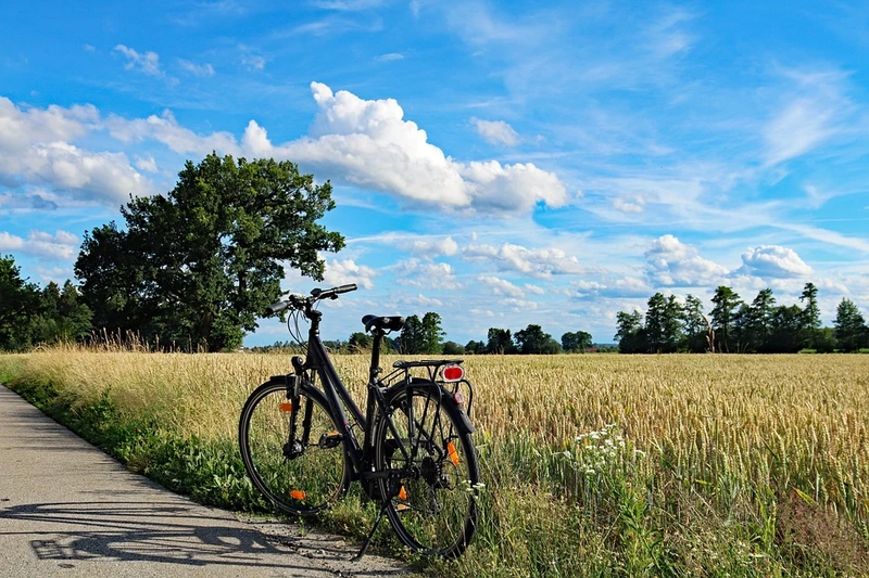 Ein Fahrrad steht an einem Radweg im Grünen bei Sonnenschein