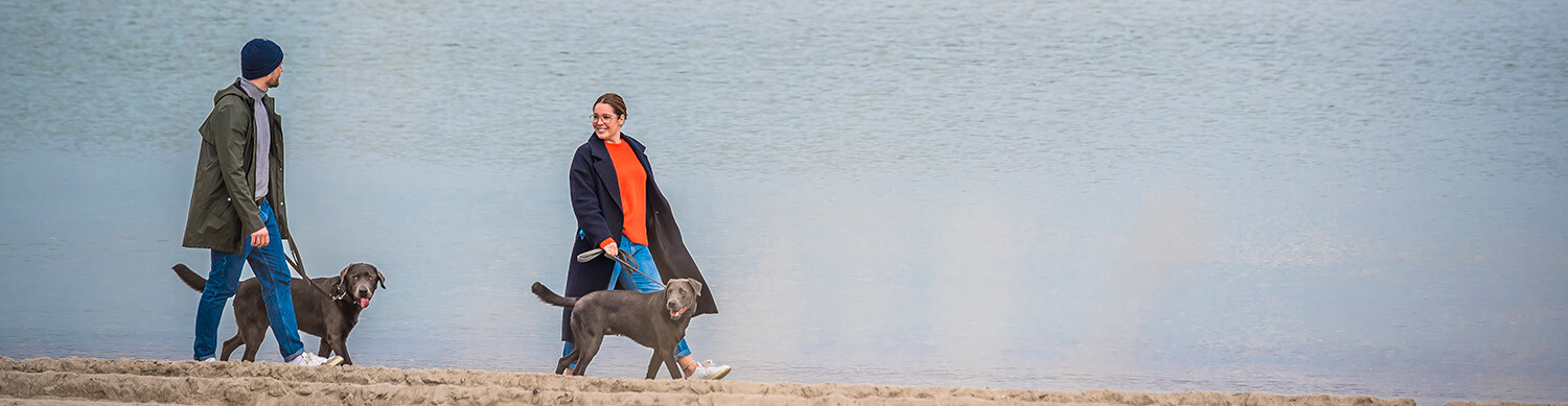 Mann und Frau gehen jeweils mit Hunden an der Leine am Strand spazieren