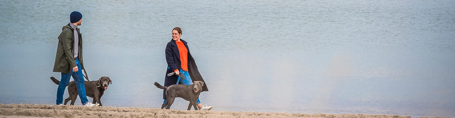 Mann und Frau gehen jeweils mit Hunden an der Leine am Strand spazieren