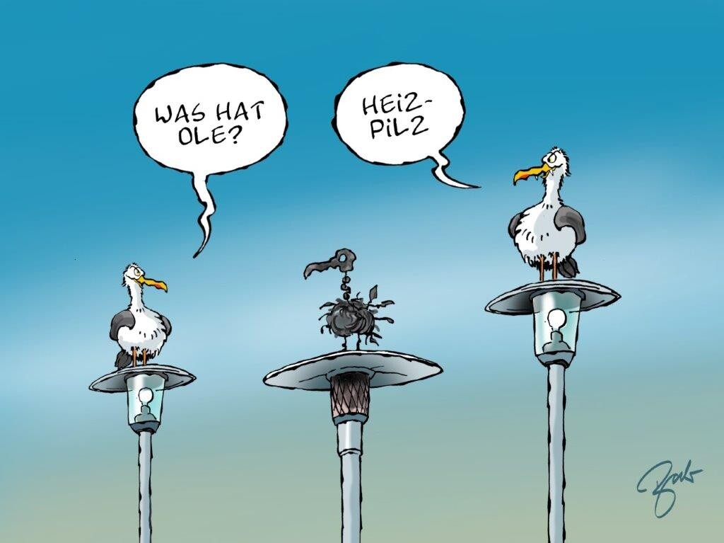 Ein Cartoon von 3 Möwen, von denen zwei auf Laternen und eine verkohlt auf einem Heizpilz sitzt. Die eine Möwe sagt zu anderen:" Was hat Ole?" Und die andere antwortet:" Heizpilz."
