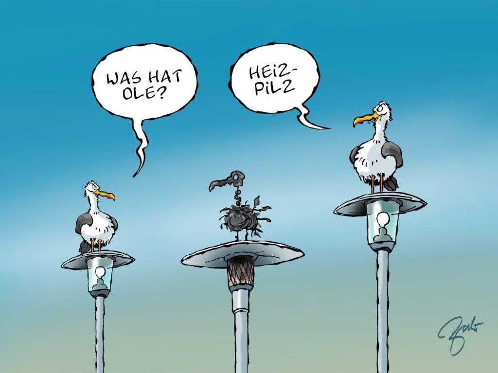 Ein Cartoon von 3 Möwen, von denen zwei auf Laternen und eine verkohlt auf einem Heizpilz sitzt. Die eine Möwe sagt zu anderen:" Was hat Ole?" Und die andere antwortet:" Heizpilz."
