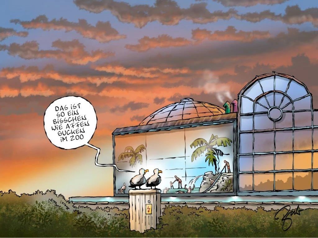 Ein Cartoon von zwei Möwen, die auf einem Stromkasten vor einem gläsernen Schwimmbad sitzten. Die eine sagt zur anderen: "Das ist so ein bisschen wie Affen gucken im Zoo."