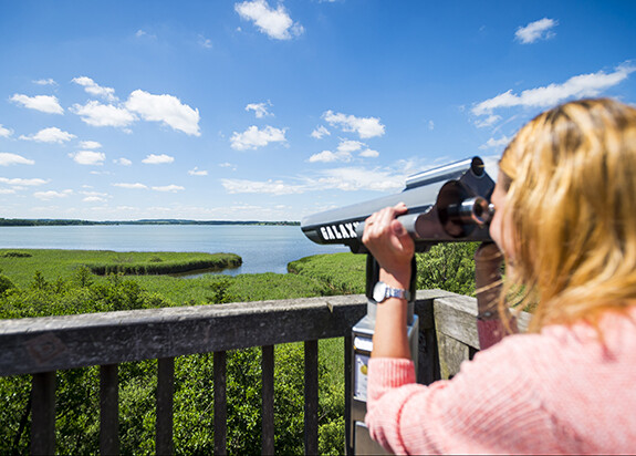 Frau guckt durch ein Fernglas auf den Hemmelsdorfer See