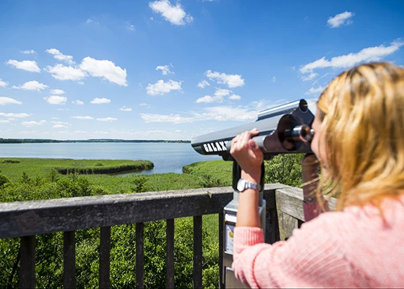Frau guckt durch ein Fernglas auf den Hemmelsdorfer See