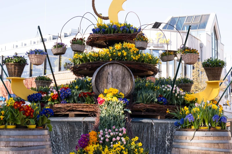 Der Osterbrunnen ist reich mit bunten Frühlingsblumen geschmückt – Narzissen, Tulpen und Hyazinthen zieren mehrere Etagen aus Holz und Weidengeflecht. Ein gelbes Seepferdchen krönt die blühende Wasserinstallation und sorgt für festliche Frühlingsstimmung. 🌸💧