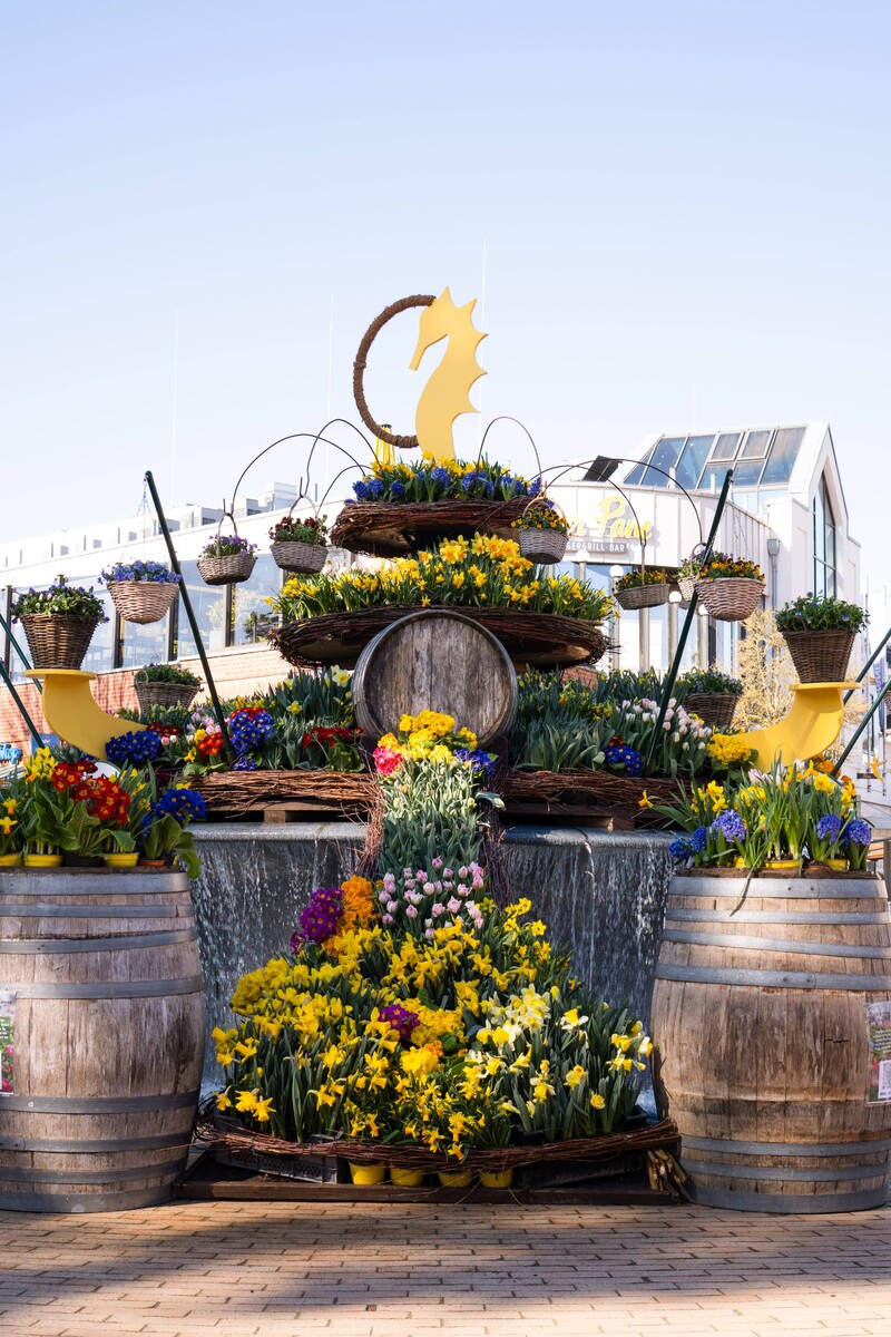 Der Osterbrunnen ist reich mit bunten Frühlingsblumen geschmückt – Narzissen, Tulpen und Hyazinthen zieren mehrere Etagen aus Holz und Weidengeflecht. Ein gelbes Seepferdchen krönt die blühende Wasserinstallation und sorgt für festliche Frühlingsstimmung. 🌸💧