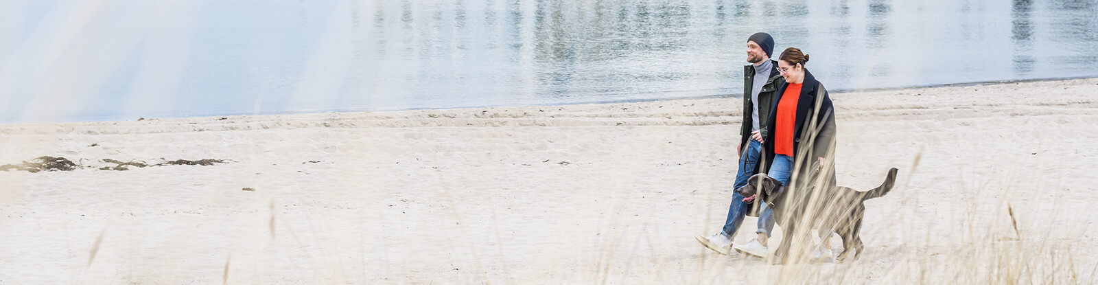 Pärchen geht mit Hund am Strand spazieren