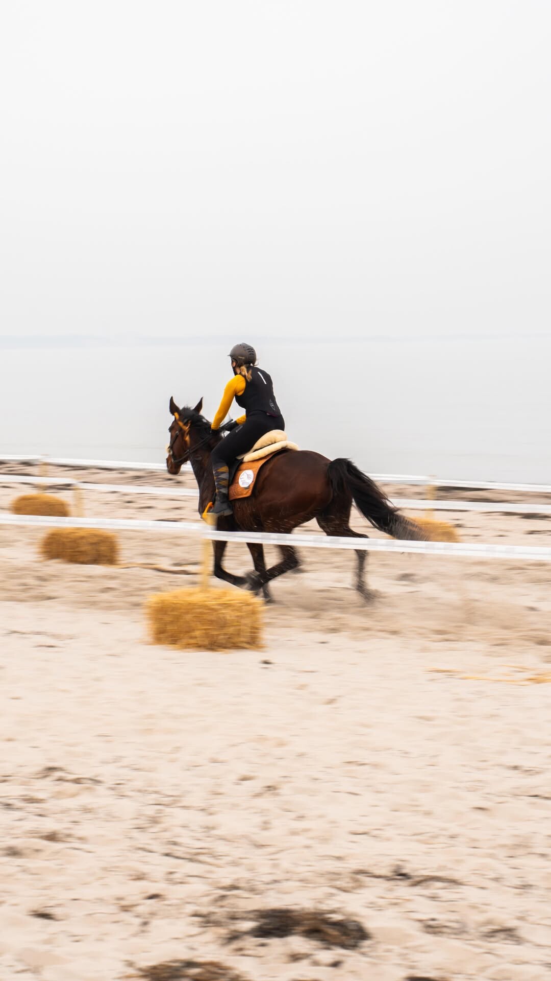 375483917890_1244770237799665