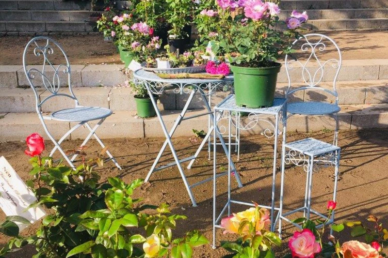 Mehrere Blumentöpfe sind auf Gartenmöbeln arrangiert