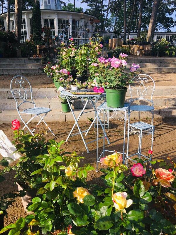 Mehrere Blumentöpfe sind auf Gartenmöbeln arrangiert