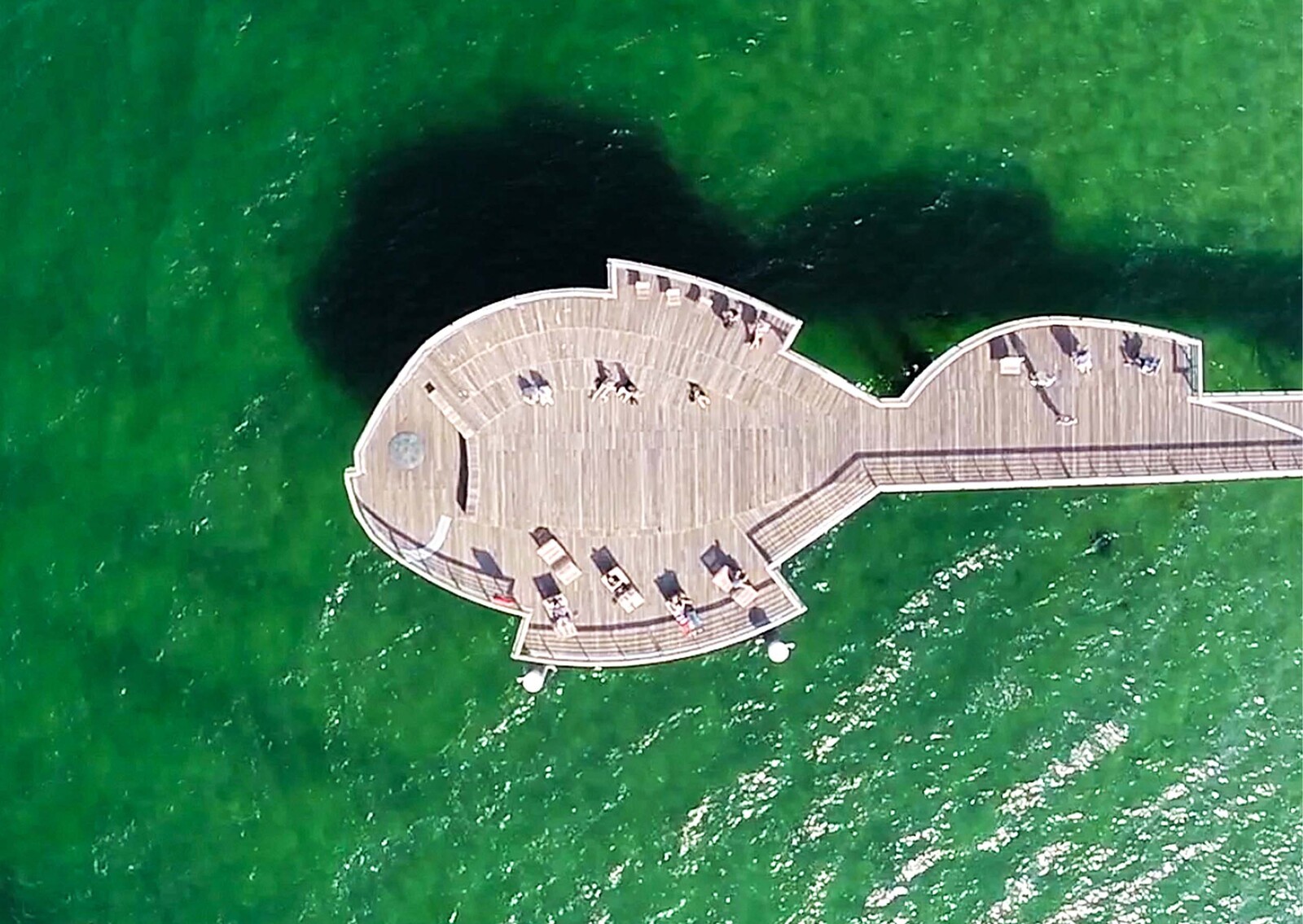 Niendorfer Seebrücke in Form eines Fisches von oben