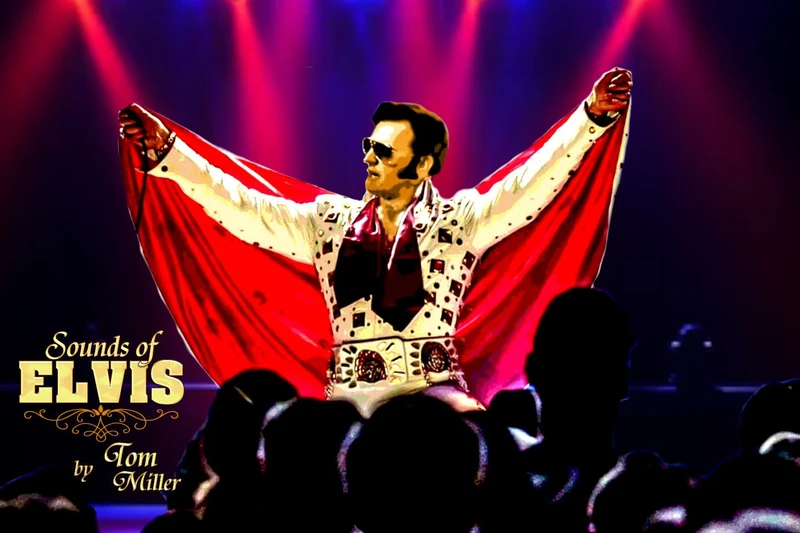 Elvis steht auf einer Bühne zum Publicum gewändet und wird vom Bühnenlicht bestrahlt