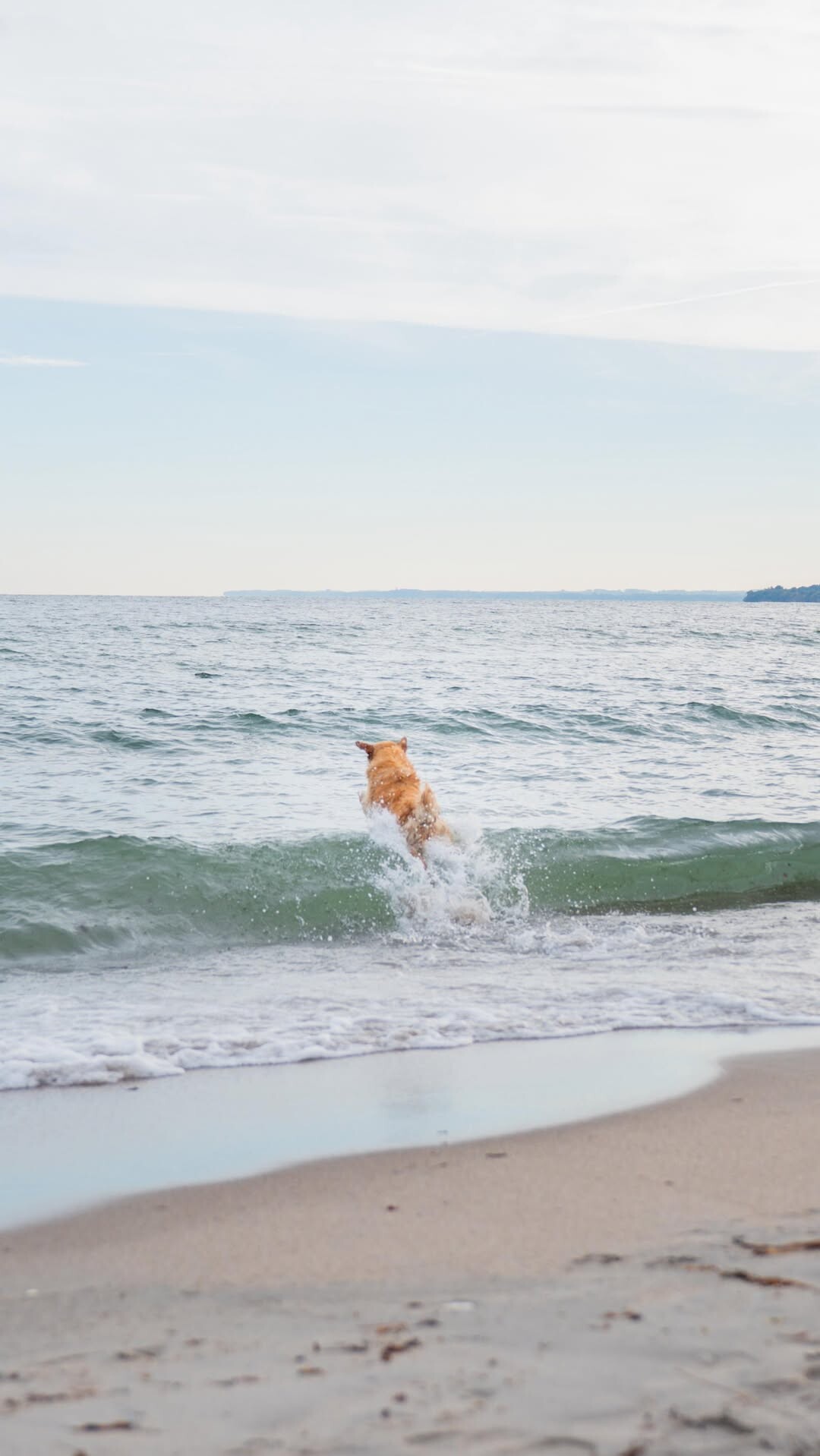 375483917890_1205296348413721