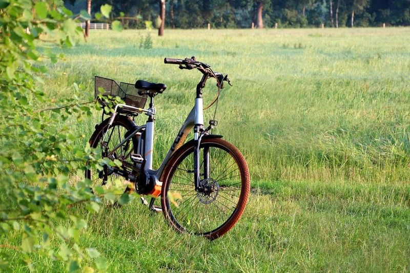 Foto eines abgestellten Fahrrads auf einer Wiese