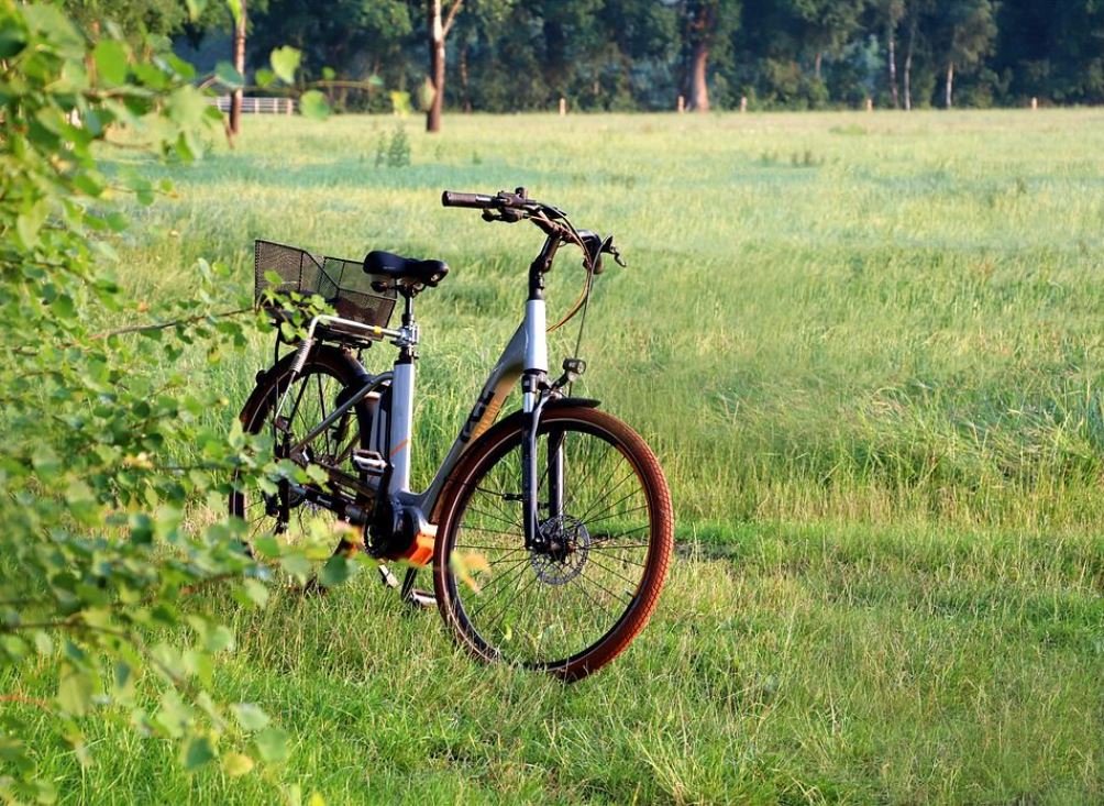 Foto eines abgestellten Fahrrads auf einer Wiese
